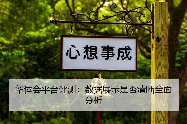 华体会平台评测：数据展示是否清晰全面分析