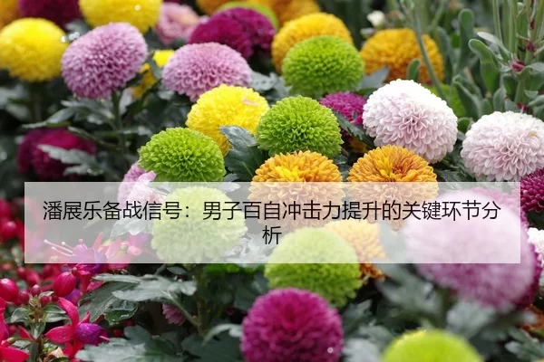 潘展乐备战信号：男子百自冲击力提升的关键环节分析