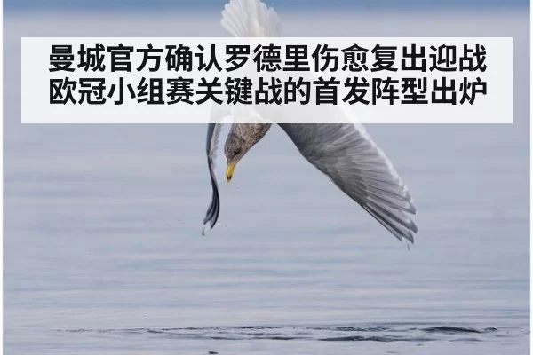 曼城官方确认罗德里伤愈复出迎战欧冠小组赛关键战的首发阵型出炉